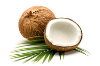 coconut baba testápoló